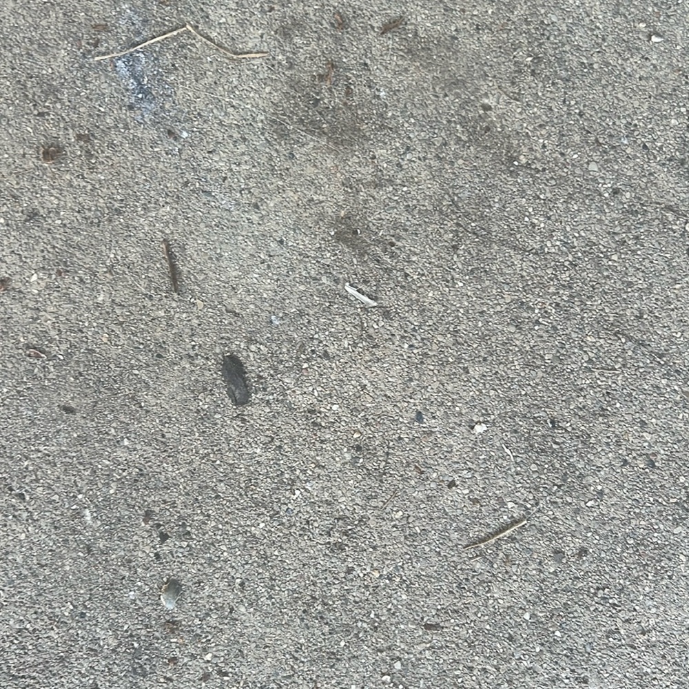 Poshmark won’t let me delete this, lol